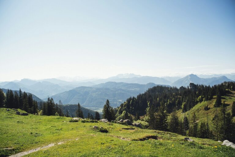 Bergwiese an der Kampenwand im Chiemgau – Landzeit-Seminare in Bergen und Felsen