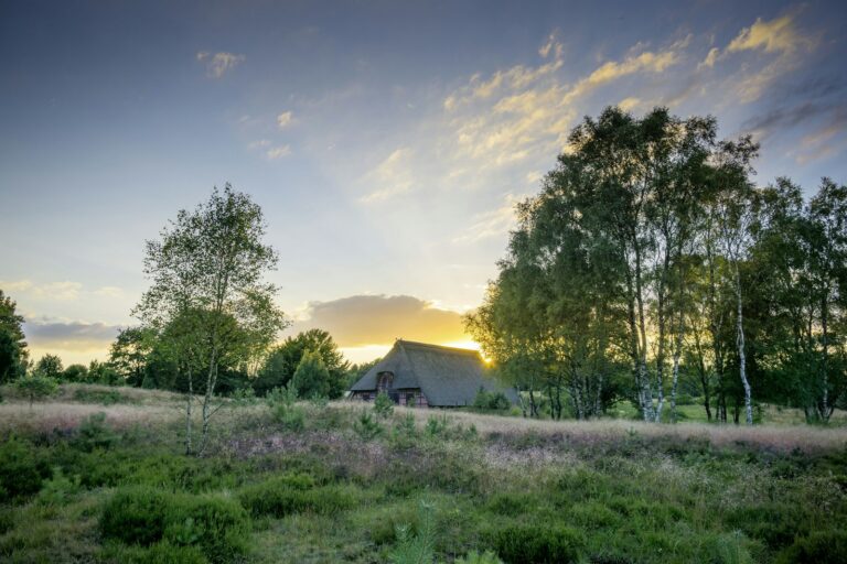 Heidehof in der Lüneburger Heide bei Soltau – Landzeit-Seminare in Hügel und Heide
