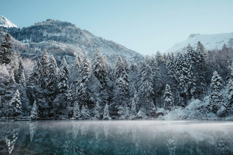 Winterakademie Führung im Allgäu: verschneite Berge am Bergsee
