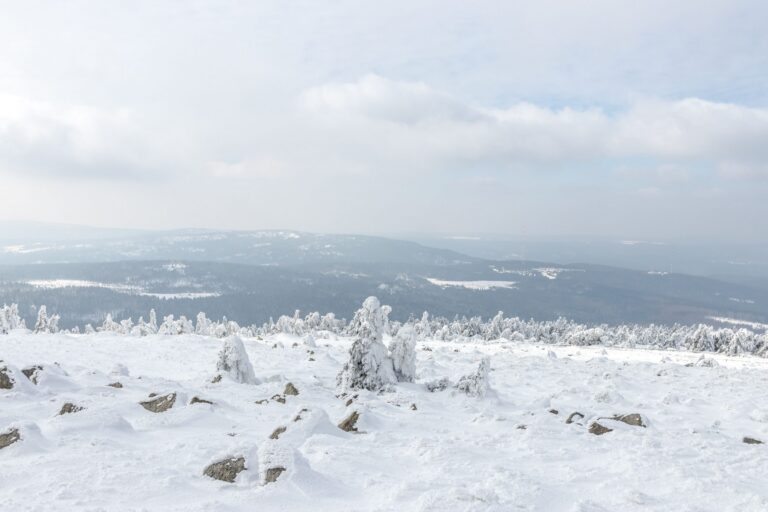 Winterakademie Vertrieb im Harz für Ihr Team: verschneite Winterlandschaft auf dem Brocken